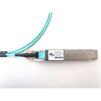 Hyperscalers QDD-800G-SR8
